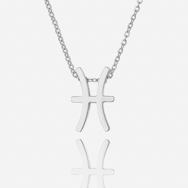 Silver Pisces necklace details
