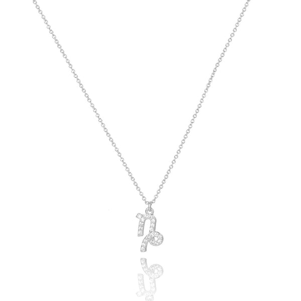 Sterling silver Capricorn necklace