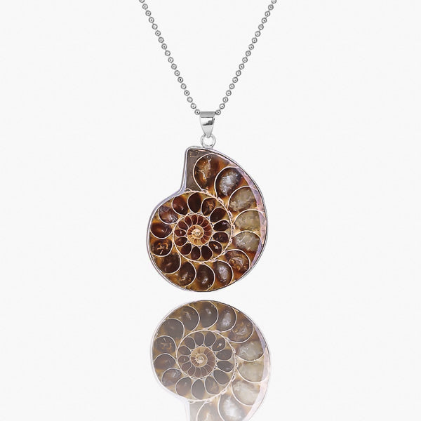 Ammonite fossil shell necklace details