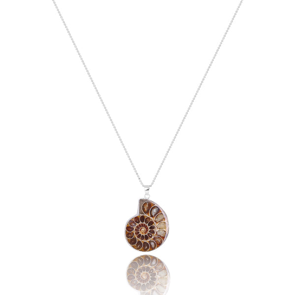 Ammonite fossil shell necklace