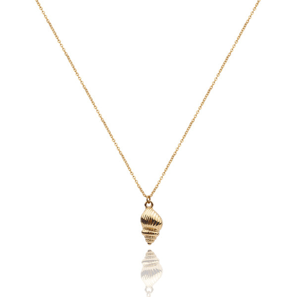 Gold conch seashell necklace