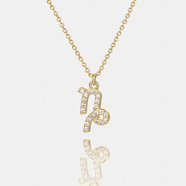 Gold vermeil Capricorn necklace details