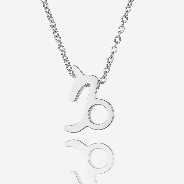 Silver Capricorn necklace details