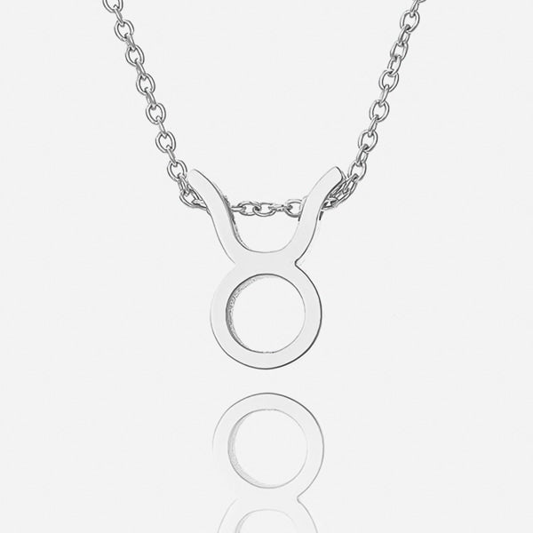 Silver Taurus necklace details