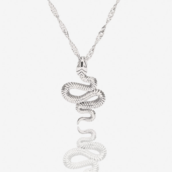 Silver snake necklace details