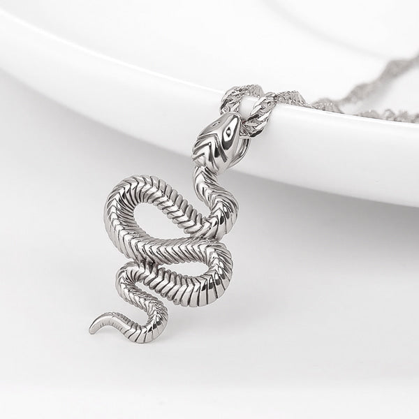 Close up of the silver snake necklace