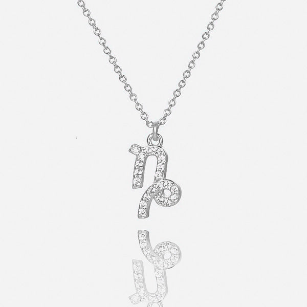 Sterling silver Capricorn necklace details